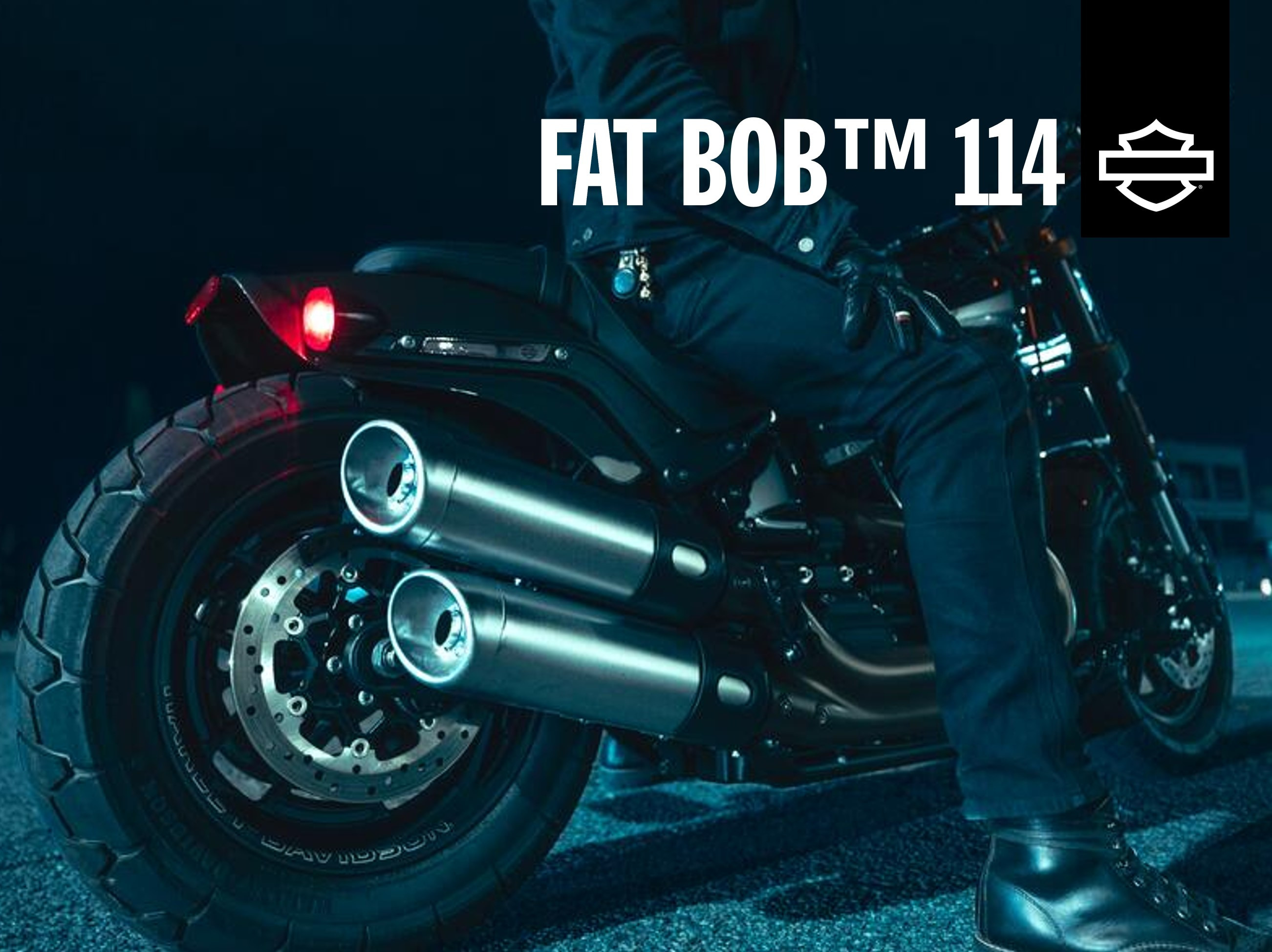 Fat Bob 114